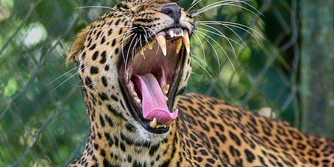 கோப்புப் படம்.