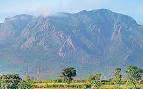 நீலகிரி