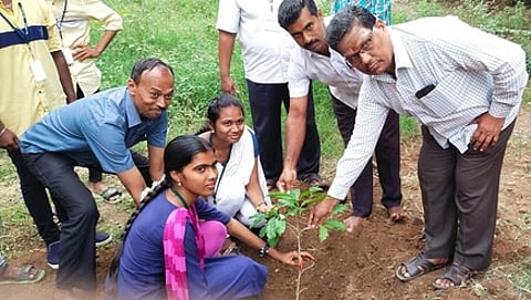 கல்லூரி வளாகத்தில் மரக்கன்றுகள் நட்டுவைக்கும் கல்லூரி முதல்வா் சு.பங்காரு.