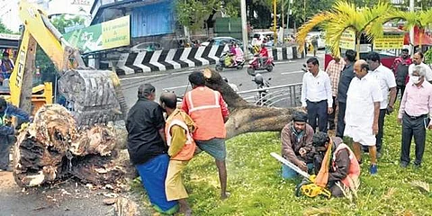 சென்னையில் புயல் நிவாரணப் பணிகளை பொதுப்பணித்துறை அமைச்சர் எ.வ.வேலு ஆய்வு செய்தார்