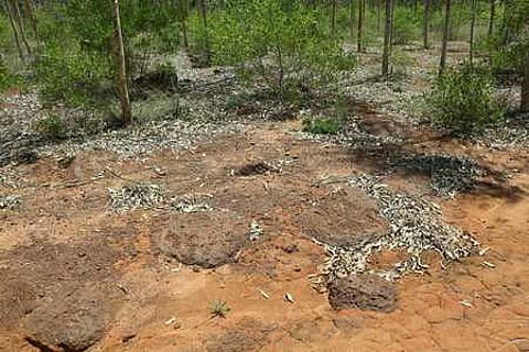 சிவகங்கை மாவட்டம் நாட்டரசன்கோட்டை அருகே கண்டறியப்பட்ட பழைமையான கல் வட்டங்கள்.