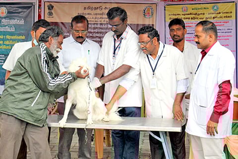 pv10p1_1012chn_157_8