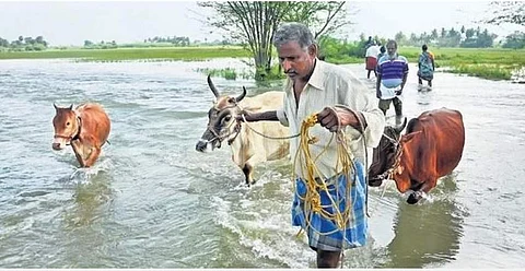 இங்குதான் அமையவிருக்கிறதா பரந்தூர் விமான நிலையம்?