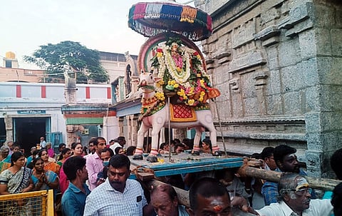 அருள்மிகு நாகநாத சுவாமி திருக்கோயிலில் பிரதோஷத்தையொட்டி நடந்த உற்சவா் உலா.