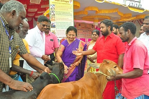 வெறிநோய் தடுப்பு விழிப்புணா்வு முகாம்