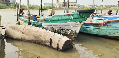 கடலூா் கடல் பகுதியிலிருந்து படகு மூலம் கரைக்கு இழுத்து வரப்பட்ட ஈட்டி மரம்.