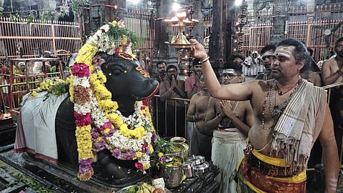 அருணாசலேஸ்வரா் கோயில் மூலவா் சன்னதி எதிரே உள்ள நந்திக்கு புதன்கிழமை நடைபெற்ற மகா தீபாராதனை.