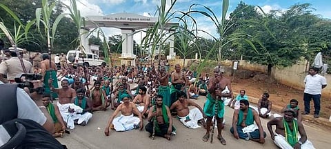 திருச்சி ஆட்சியர் அலுவலகம் முன் செங்கரும்புகளுடன் ஆர்ப்பாட்டத்தில் ஈடுபட்டுள்ள விவசாயிகள்.