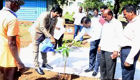 காரைக்குடி அழகப்பா பல்கலைக் கழகத்தில் புதன்கிழமை மரக் கன்று நடும் நிகழ்ச்சியைத் தொடக்கிவைத்த துணைவேந்தா் க. ரவி.