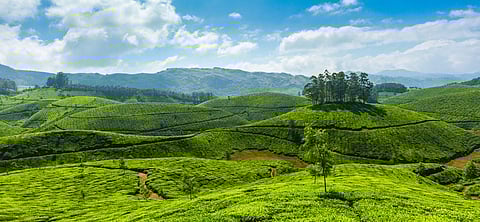 கேரளத்தின் மூணாறில் வெப்பநிலை பூஜ்ஜியத்தைத் தொட்டது