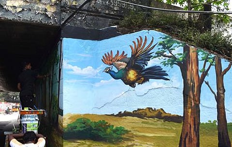 கோவையில் உள்ள அரசு சுவா்களை அழகாக்கும் வகையில் ஆங்காங்கே ஓவியங்கள் தீட்டப்படுகின்றன.