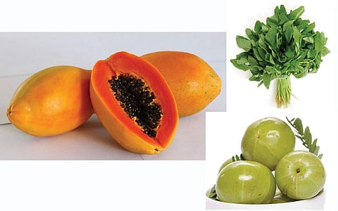 நோய் எதிர்ப்பு சக்தியை வலுப்படுத்த...