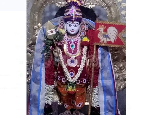மாசிமகம் வழிபாட்டையடுத்து வியாழக்கிழமை சிறப்பு அலங்காரத்தில் ஸ்ரீபழனியாண்டவர்.