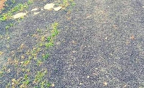 புல் முளைத்த சாலை