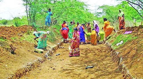 மகாத்மா காந்தி தேசிய ஊரக வேலை உறுதித் திட்ட நிதி ஒதுக்கீடு 25% குறைப்பு