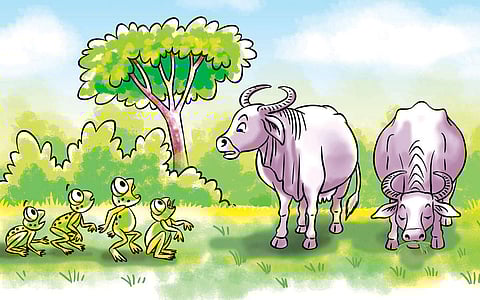 முத்துக் கதை: இயற்கைக்கு விரோதமாக...!