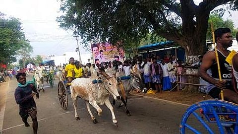 விராலிமலை: தி.மு.க. சார்பில் குதிரை வண்டி, மாட்டு வண்டி எல்லை பந்தயம்