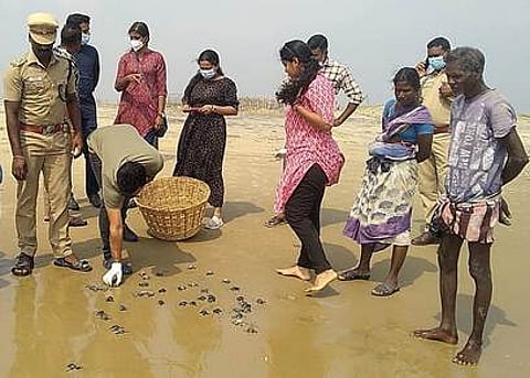 கடலில் விடப்பட்ட ஆமைக் குஞ்சுகள்