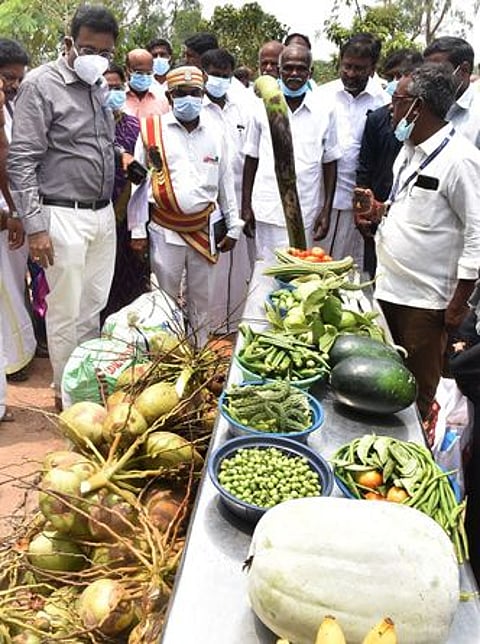 வல்லம் வளம் மீட்பு பூங்காவில் சாகுபடி செய்யப்பட்ட காய்கனிகளை வெள்ளிக்கிழமை பாா்வையிட்ட ஆட்சியா் தினேஷ் பொன்ராஜ் ஆலிவா்.