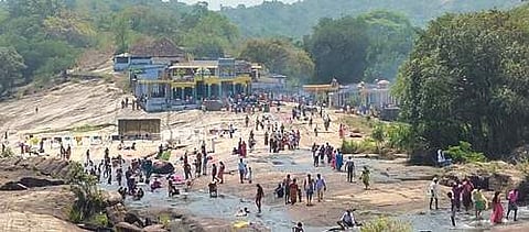 பங்குனி உத்திரத்தை முன்னிட்டு காரையாறு சொரிமுத்து அய்யனார் கோயில் பகுதி தாமிரவருணியில் புனித நீராடும் பக்தர்கள்.