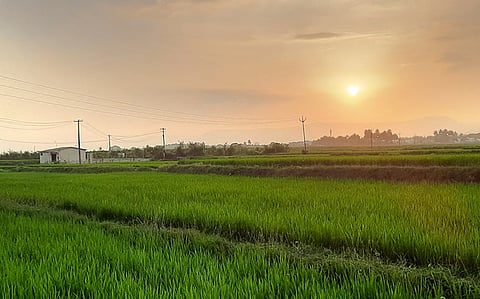 பட்ஜெட்: நில அளவையர்களுக்கு ரோவர் கருவிகள்