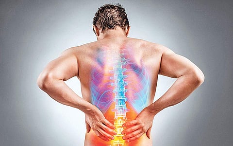 ஆயுள் காக்கும் ஆயுர்வேதம்: மூச்சுப் பிடிப்பு, முதுகுவலிக்கு சிறந்த மருந்து!