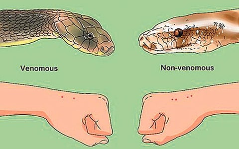ரத்தத்தின் ரத்தமே... - 59