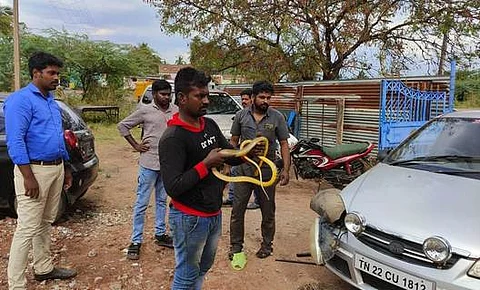 கோப்பிலிருந்து..