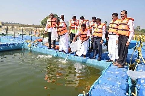 பாரூர் பெரிய ஏரியில்  ரூ.320 லட்சம் மதிப்பில் மீன் வளர்ப்புத் திட்டம் தொடக்கம்
