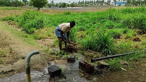 கோப்புப்படம்.