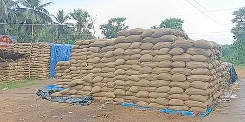 அடுக்கி வைக்கப்பட்டுள்ள நெல் மூட்டைகள். (கோப்புப்படம்)