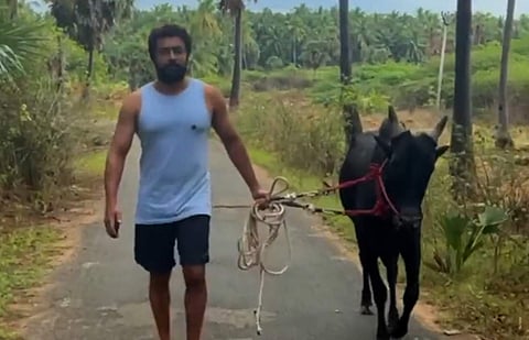 ' என் தமிழ்..’ வாடிவாசல் காளையுடன் விடியோ வெளியிட்ட சூர்யா