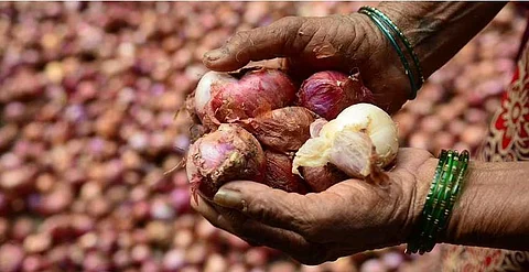 சின்ன வெங்காயம் விலை கட்டுப்படுத்த நடவடிக்கை: அமைச்சர்