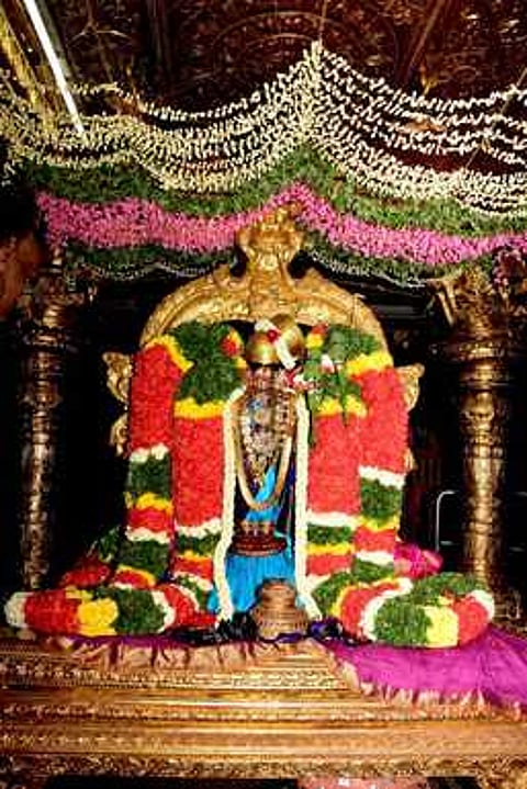 கோயிலில் பிரம்மாண்ட மாலையுடன் சா்வ அலங்காரத்தில் காட்சியளித்த ஆண்டாள்.