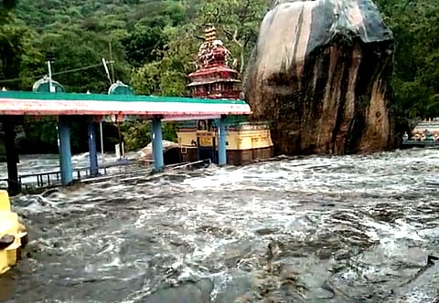 உடுமலை அமணலிங்கேஸ்வரா் கோயிலில் காட்டாற்று வெள்ளம்