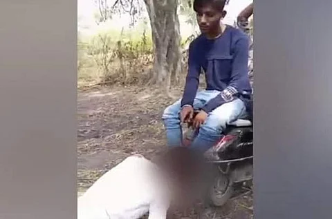 உ.பி.யில் தலித் மாணவர் துன்புறுத்தல்: விடியோவால் சிக்கிய 7 பேர்