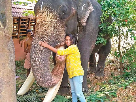 யானைகளை நேசிக்கும் பெண்...!