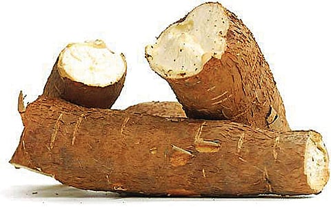 சாலட் செய்யும் போது கவனிக்க வேண்டியவை...