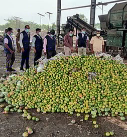 பழங்களை அழிக்கும் பணியில் ஈடுபட்ட உணவுப் பாதுகாப்புத் துறையினா்.