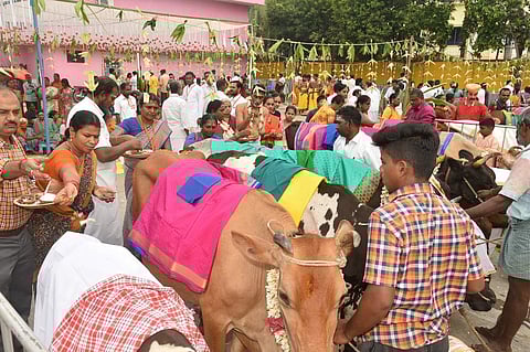 குலசை பிச்சைக்கார சுவாமிகள் ஜென்மோற்ச வ பெருவிழாயொட்டி நடைபெற்ற ஹோமம். (வலது) 70 பசுக்களுக்கு நடைபெற்ற மகா கோபூஜை.