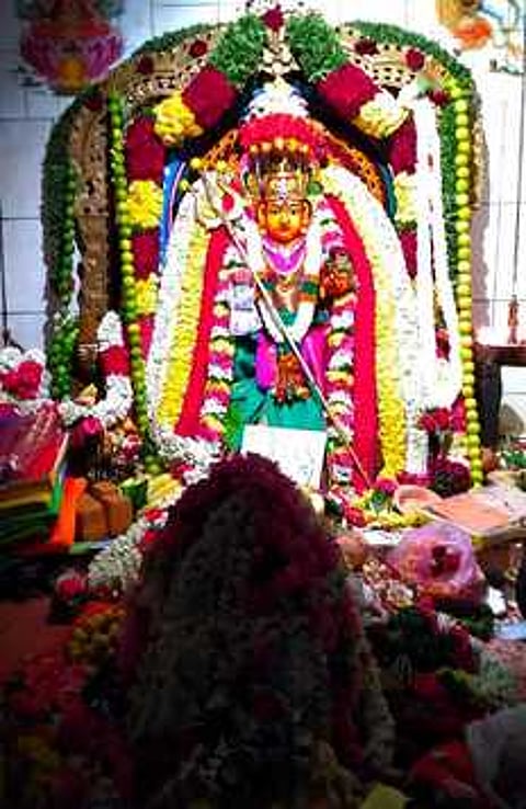 சிறப்பு அலங்காரத்தில் அருள்பாலிக்கும் அம்மன்.