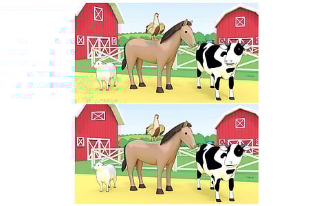 கண்டுபிடி கண்ணே!