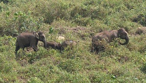 மனிதருக்கு மட்டுமல்ல பூமி!