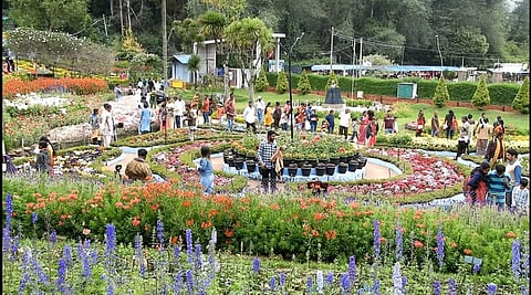 கொடைக்கானல்.