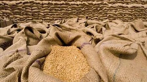 கோதுமை(கோப்புப்படம்)