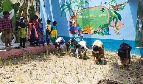 பள்ளி மாணவா்களுக்குஇயற்கை விவசாய விழிப்புணா்வு