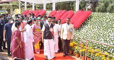 உதகை அரசு தாவரவியல் பூங்காவில் நடைபெறும் 124-ஆவது மலா்க் காட்சியை வெள்ளிக்கிழமை தொடங்கிவைத்துப் பாா்வையிடுகிறாா் முதல்வா் மு.க.ஸ்டாலின்.