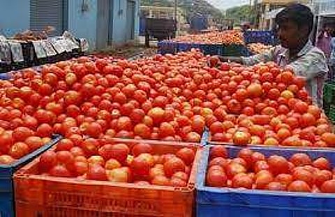 தக்காளி விலை உயர்வு: இல்லத்தரசிகள் அதிர்ச்சி!
