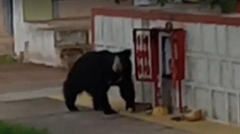 கோப்புப்படம்