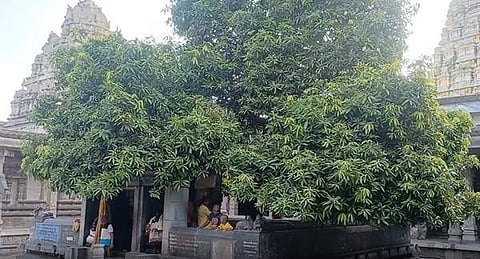 காஞ்சிபுரம் ஏகாம்பரநாதர் கோயில்